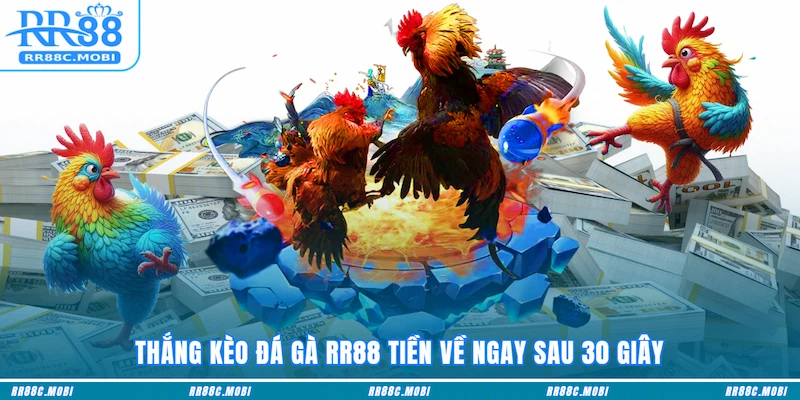 Thắng kèo Đá gà RR88 tiền về ngay sau 30 giây